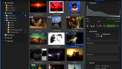 Zoner Photo Studio X hỗ trợ nhiều kênh giúp bạn chia sẻ ảnh với bạn bè, người thân dễ dàng