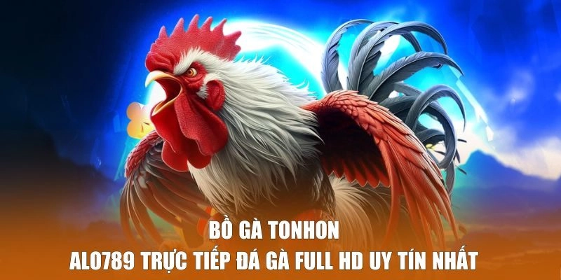 Bồ Gà Tonhon – Alo789 Trực Tiếp Đá Gà Full HD Uy Tín Nhất 