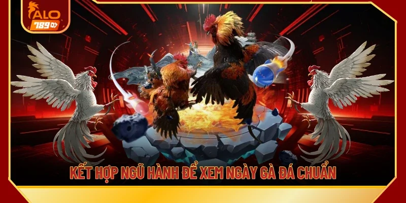 Kết hợp ngũ hành để xem ngày gà đá chuẩn