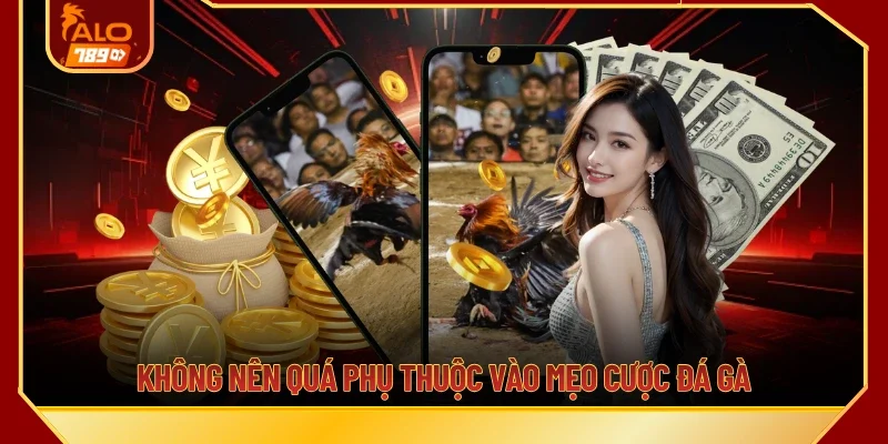 Không nên quá phụ thuộc vào mẹo cược đá gà