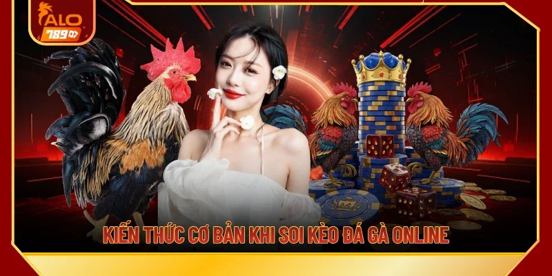 Kiến thức cơ bản khi soi kèo đá gà online