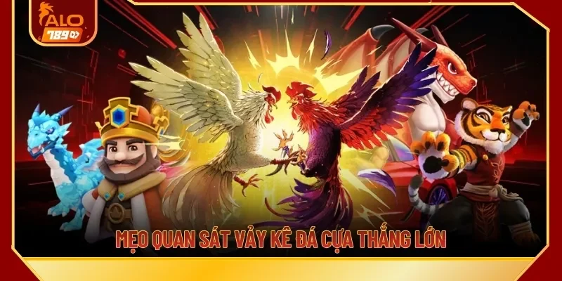 Mẹo quan sát vảy kê đá cựa thắng lớn