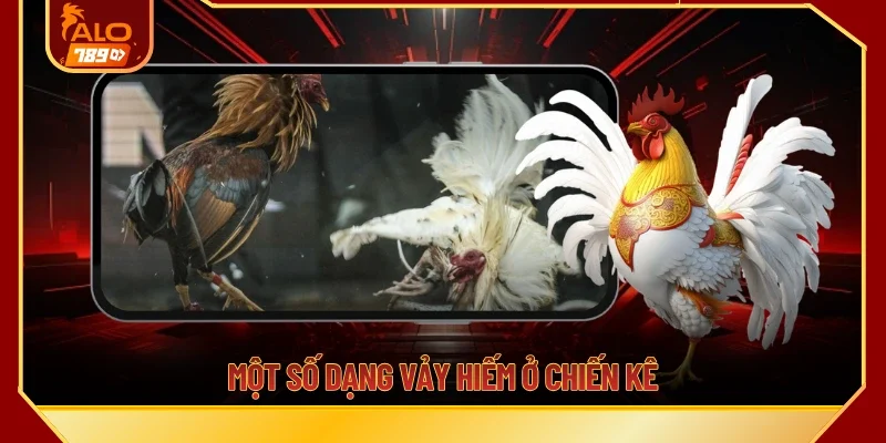 Một số dạng vảy hiếm ở chiến kê