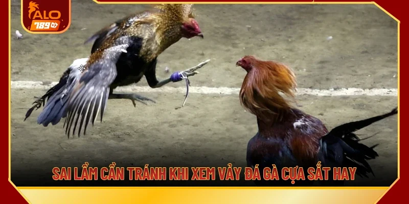Sai lầm cần tránh khi xem vảy đá gà cựa sắt hay