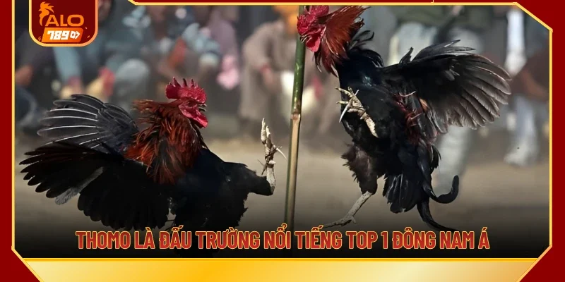 Thomo là đấu trường nổi tiếng top 1 Đông Nam Á