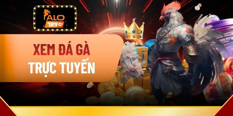 Xem Đá Gà Trực Tuyến Tiện Lợi, Linh Hoạt Tại ALO789